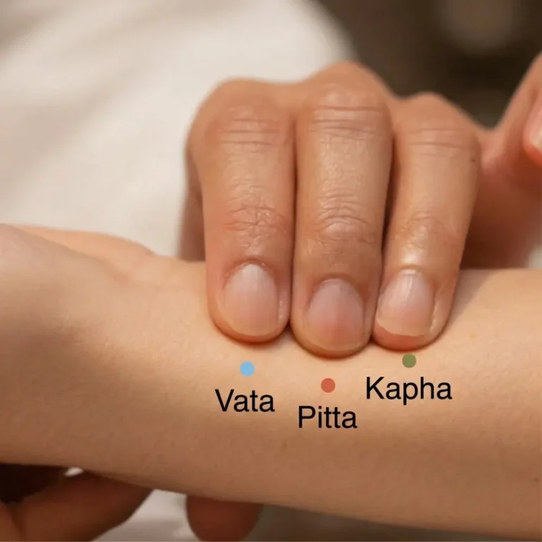 services ayurvedic consultation