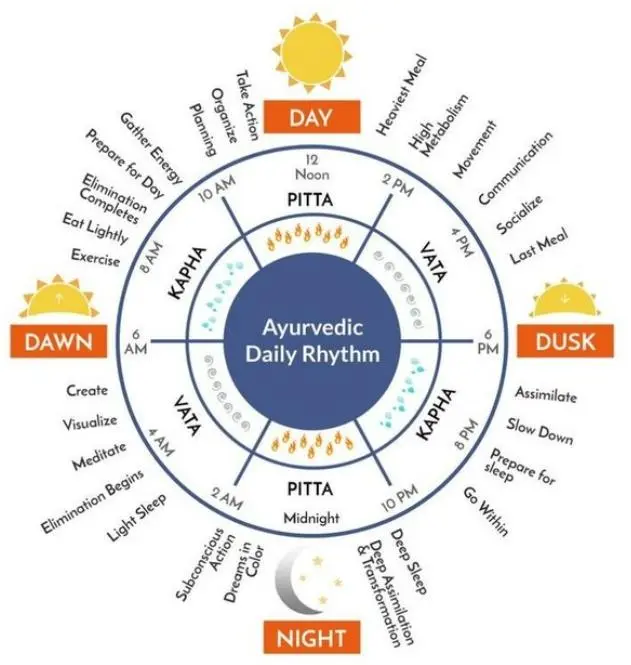 understanding ayurveda body ayurveda